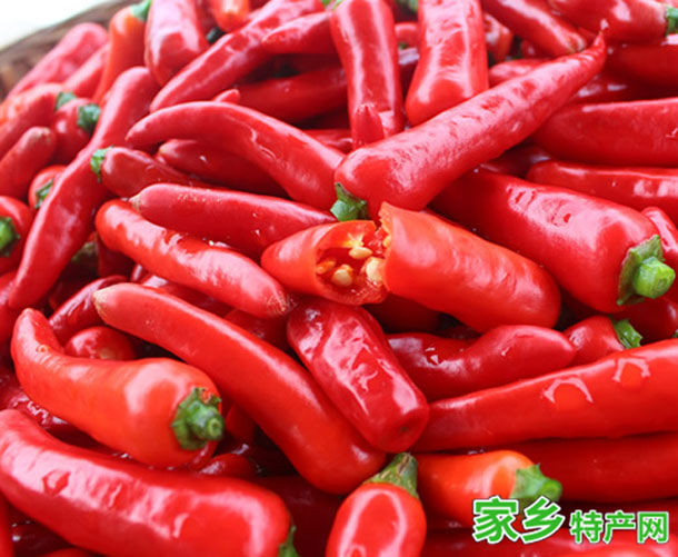 马鞍山特产和县辣椒 -[马鞍山]和县特产