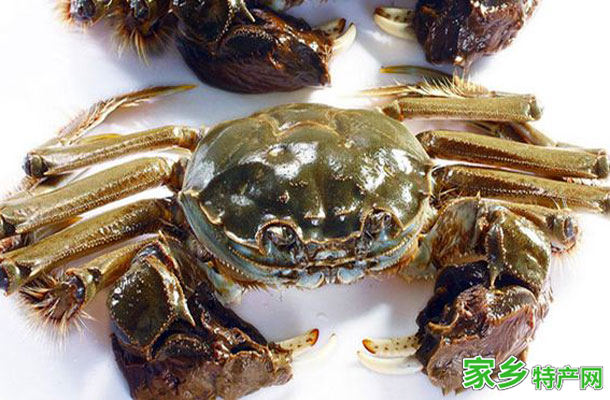 七里海河蟹 -天津宁河特产