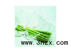 芦笋种子|高产芦笋种子|进口芦笋种子|