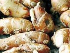 沙姜有没有副作用  适合什么人服用