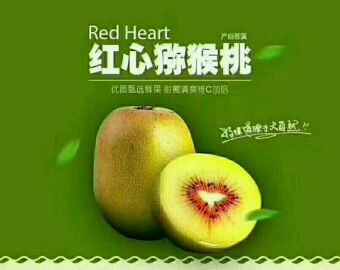 [供]供应猕猴桃,8月份中旬开始大量出售