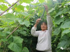 七星关区生机镇“冲刺90天，打赢歼灭战”