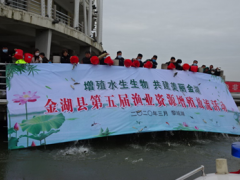 金湖县展开第五届渔业资源增值放流活动