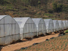 毕节金海湖新区响水乡：“党建+”助推农业产业结构调整