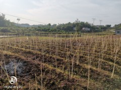 晋中市农业农村局三举措推进秸秆禁烧巡查