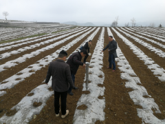 晋中市种子管理站技术效力纳雍县15号坝区