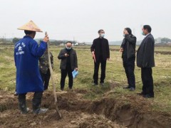 防疫复产为农户解困 吹响早稻种植冲锋号