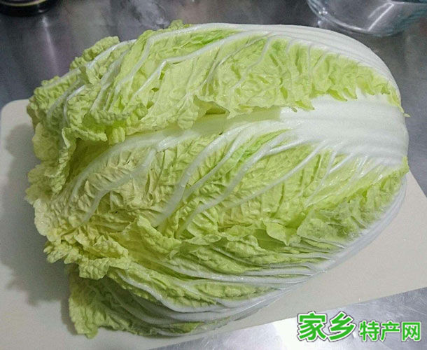 胶州大白菜 -青岛胶州特产