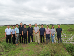 山东省花生消费调查指点组来临沭调查-临沂市农业农村局