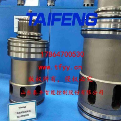 主动阀阀芯/泰丰智能制造