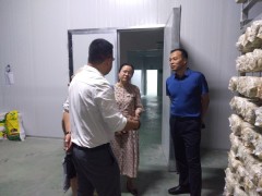 铜川：兰州大学来耀调研特征产业展开与乡村复兴义务