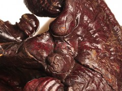 碰壁灵芝长白山灵芝价格野生灵芝么法