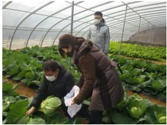 威海晋中市农业农村局 义务静态 晋中市农业综合执法支队展开疫情防控时期蔬菜质量安全风险监测