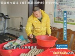 新乡哪里有人工蝎子养殖场品牌企业
