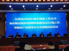 汉阴：县召开全国乡村管理体系树立试点示范义务 发起会议