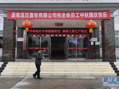 总书记关切高质量展开｜稳住“一头猪”、供好“一袋米”、配好“一篮菜”