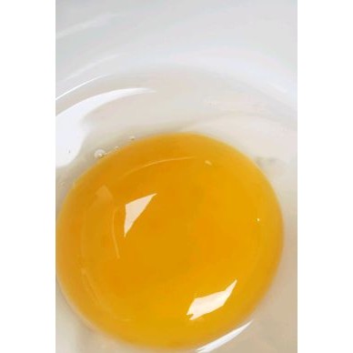 [供]鹅蛋，散养全粮喂养，不喂激素与饲料，孕婴的最佳食品