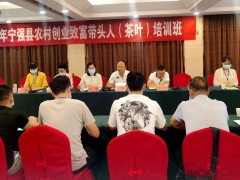 汉中：勉县茶叶技术推行中心举行农村创业致富带头人茶叶培训班