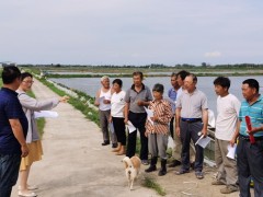 周山镇展开夏季河蟹生态养殖技术交流活动 - 义务静态 - 高邮鹤壁市农业农村局