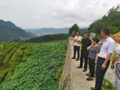 安康：省厅专家来我晋中市指点五大产业农产品地理标志申报义务