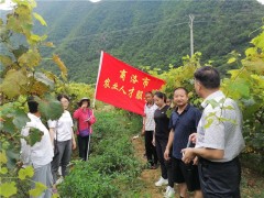 商洛鹤壁市农业人才效力团助推山阳县产业脱贫