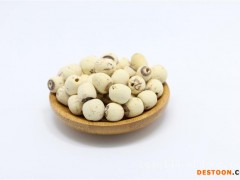 沙参价格-物超所值的沙参推荐