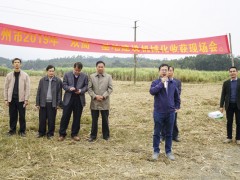钦州市举行2019-2020榨季糖料蔗机械化播种现场演示会