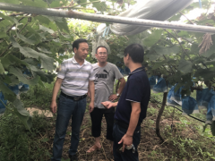 晋中市园艺站到盱眙龙诚田园有限公司技术指点