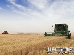 牡丹江市 走创新发展特色路 小农业种出大天地