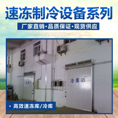 冷冻库 调理食品 蔬菜保鲜制冷库 冷库