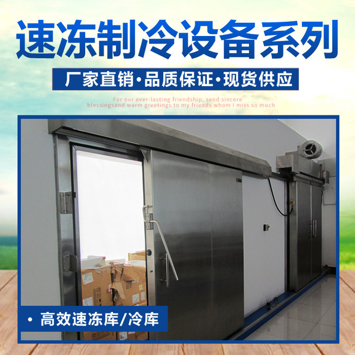 冷冻库 包子速冻 蔬菜保鲜制冷库 冷库