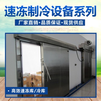 冷冻库 包子速冻 蔬菜保鲜制冷库 冷库