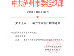 关于王宏一、葛方文同志任职的通知