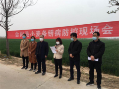 合阳：召开小麦条锈病防控义务现场会