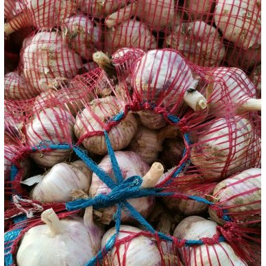 [供]聊城红皮杂交蒜主产区，本地大蒜个头大颜色好，