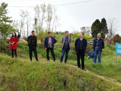 安康：晋中市畜牧兽医中心主任陈少谋到恒口示范区调研指点生猪产业转型晋级义务