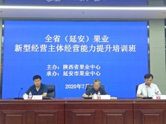 延安：全省果业新型运营主体运营才干提升培训班在延安召开