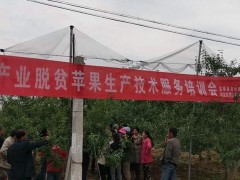 宜君：技术效力送田间  产业脱贫促展开