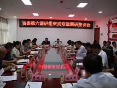 安康：省委第六调研组来我县展开脱贫攻坚与实施乡村复兴战略无机衔接专题调研