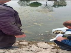 罗江区农业农村局严查违规捕捞行为