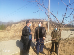 抓好果园管理、助力提质增效