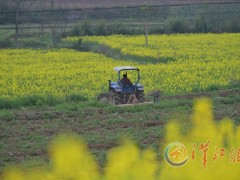 “铁牛”闹春耕-襄阳晋中市农业农村局