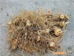 上海食品-枣椿堂质量优-食品公司