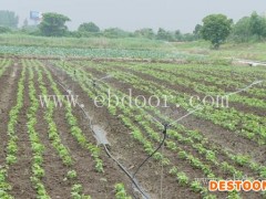 水肥一体化公司-欣农科技(推荐商家)