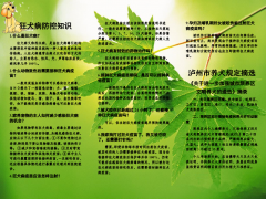 狂犬病防控知识