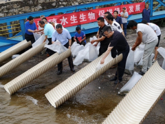 九江农业信息网,2019年“全国放鱼日”同步增殖放流 活动在九江浔阳江畔举行