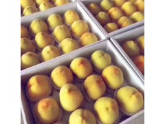 池州精品黄桃