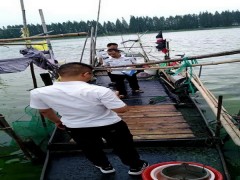 湖州市渔政站借势而为做好渔船安全生产工作