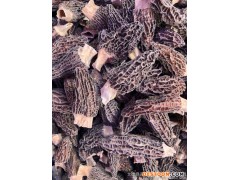 彝家山珍生羊肚菌干品 特级云南羊肚菌野生食用菌批发 干羊肚菌批发 云南特产野生菌