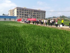 浦北县举办无人机田间植保作业演示培训会